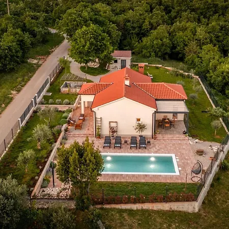 Bogondon * Veli Turini